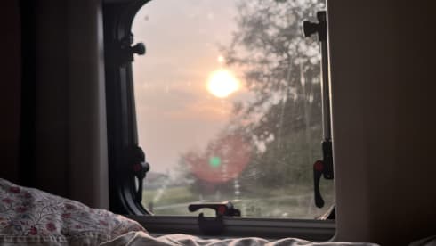 Bronko – Rimor Horus 138