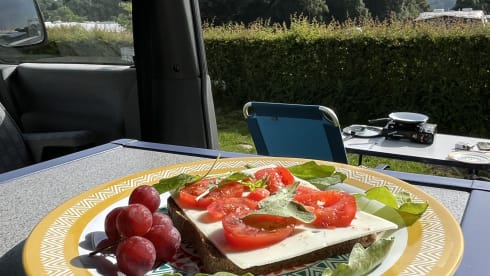 Mr. Grey –  Volkswagen Westfalia Wohnmobil (4 Personen)