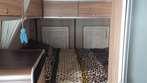 Hammer Grand Canyon bus camper