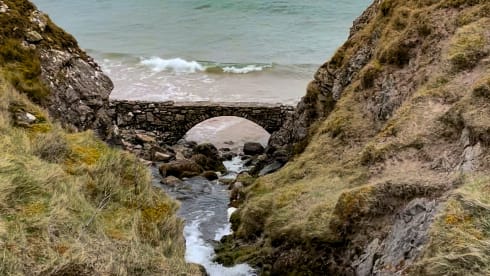 Bamboo Buck – Hashtagcampeurs 