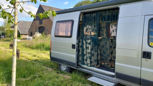 2p attractive, spacious, light Fiat bus camper