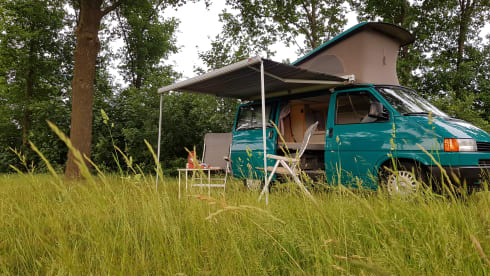 Greenhouse! – Go on an unforgettable road trip with this T4 Westfalia!