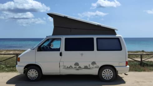 Calì  – Salento in a T4 California Coach van