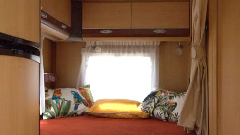 Fuga garantita, cambio totale di scenario, un altro mondo,