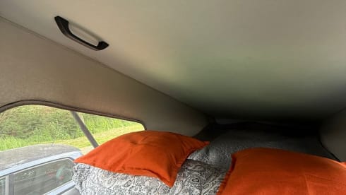 Tigger – Tigger - Camping-car Volkswagen 4 places LWB de 2017