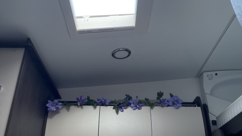 Stitch  – Benimar Sport Up 340 Alcove 