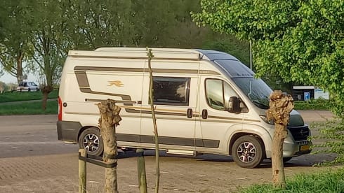 4p camper bus automatic from 2021
