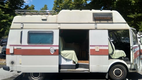 VanNino – A unique experience and a dive into the past? VanNino!