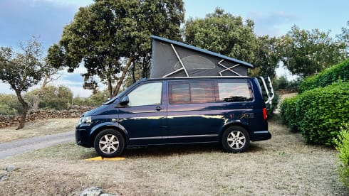 Blaue blitz – Wonderful original VW California 