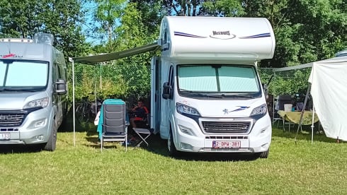De Piwi – McLouis Glamys 223 from 2023