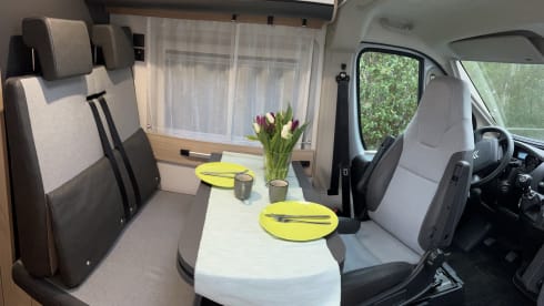Sunny – Kastenwagen 