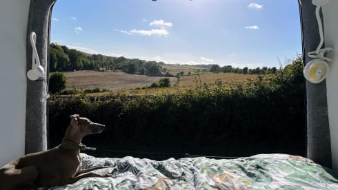 Betty  – Gorgeous and Spacious Mercedes Sprinter - 