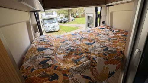 Uluru – 4p Hymer Ayers Rock bus uit 2018