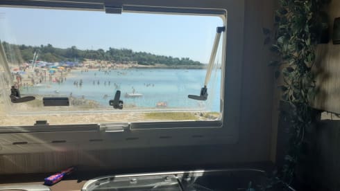 Feel free and carefree with your family