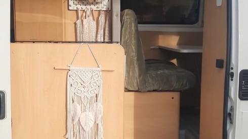 Paqua – Feiner Pössl Wohnmobilbus für 3 Personen