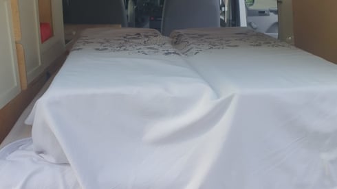 Wood live – Rent a VW T5 Wood live