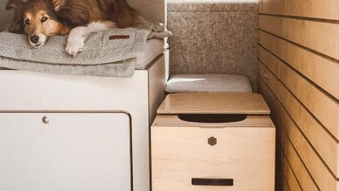 Odos – Autarker T6 Camping Bus für Dein Abenteuer