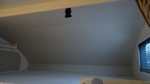 6p Ahorn alcove from 2022