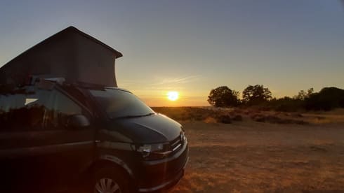 California Coast rental year 2019