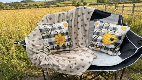 Bumblebee – 4 berth Ford campervan from 2019