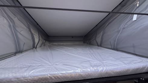 Buzzie – Brand new 4 person bus camper Carado 