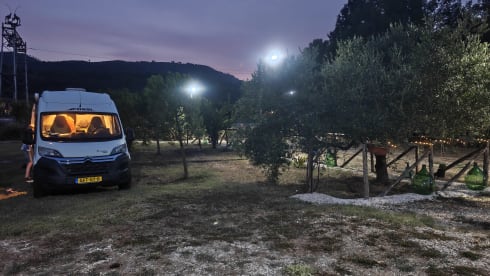 4p Pössl bus uit 2019