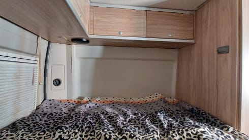 Hammer Grand Canyon bus camper