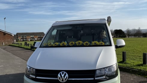 ELMA – Stunning VW campervan-ready for adventure....