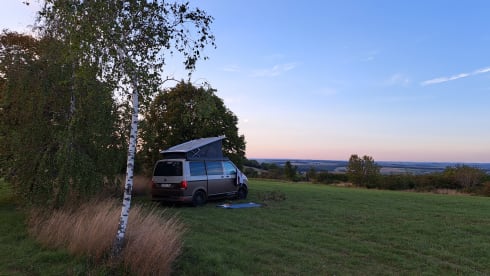 CALI Brown Grey – Volkswagen California COAST Brown/AscotGrey (2021)