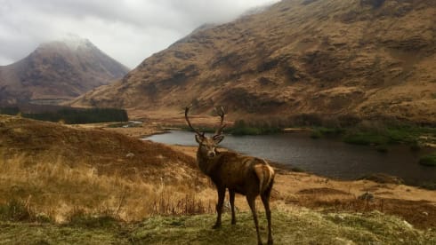 Mork! – Live the van-life dream. Fully equipped VW T6 