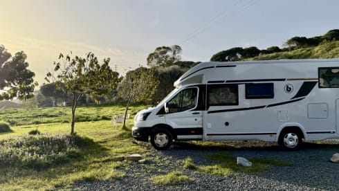 5p Benimar semi-integrated from 2026