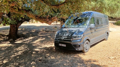4p Volkswagen bus from 2020