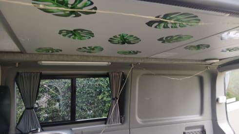 Valerie – 4 berth Volkswagen T6 Campervan