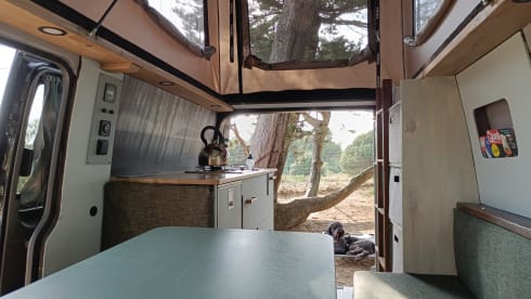 VW Bussy – Volkwagen T5 with outdoor kitchen