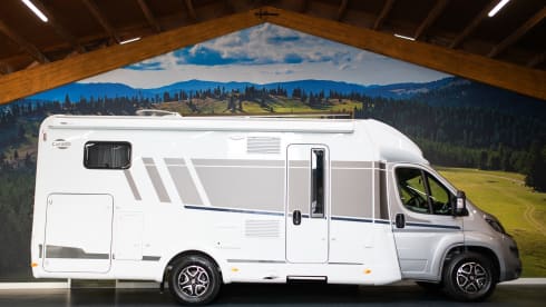 Luxury 4p Carado T447 from 2023