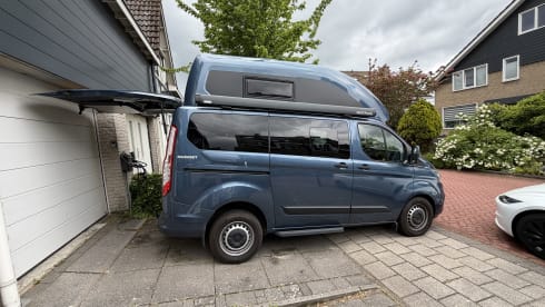 Kipnugget  – Ford Nugget Westfalia Hoogdak