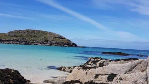 Ernie – Rollerteam 685 pet friendly motorhome