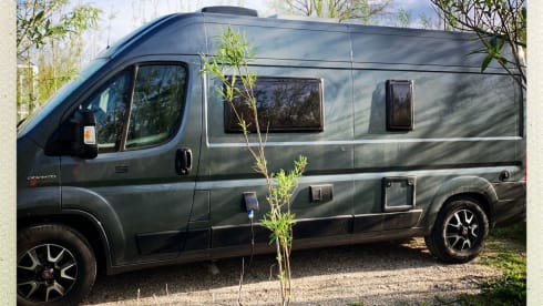 Suzy – 4p Fiat bus from 2020
