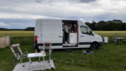 Lola – 2p Volkswagen bus uit 2015