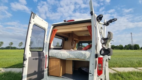 2p Fiat bus from 2005