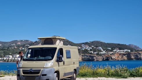 Palmtree – Spaceious Citroën Jumper