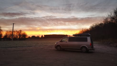 Cozy Custom Volkswagen T6.1 (Automatic!)