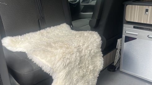 Bella's Bus – VW Camper, T6.1