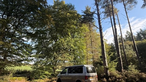 🤎 NOVA 🤎 – 4 berth Volkswagen campervan from 2019