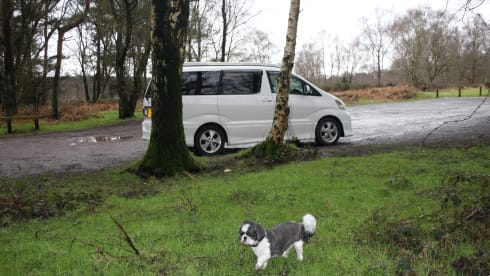 Skye – 4 berth ULEZ Compliant automatic Toyota campervan 