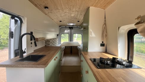 Poppy – Ford Campervan (2019) 2p + huisdier