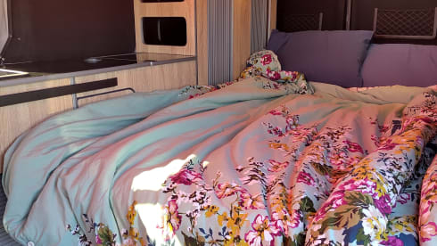 Vanny McVanface – 4 berth camping adventures await!