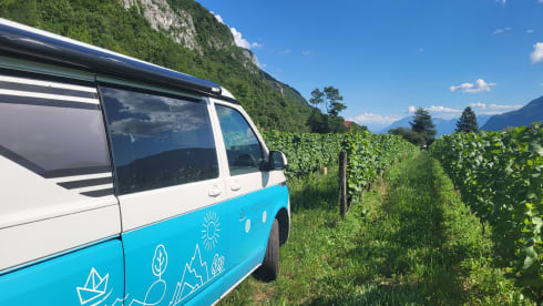 Van – Furgone Fuga