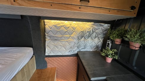 Copito – 3p Other bus from 2015