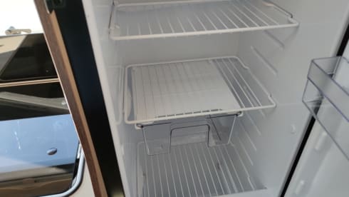 MC4 - 239 – MCLOUIS MC4 331